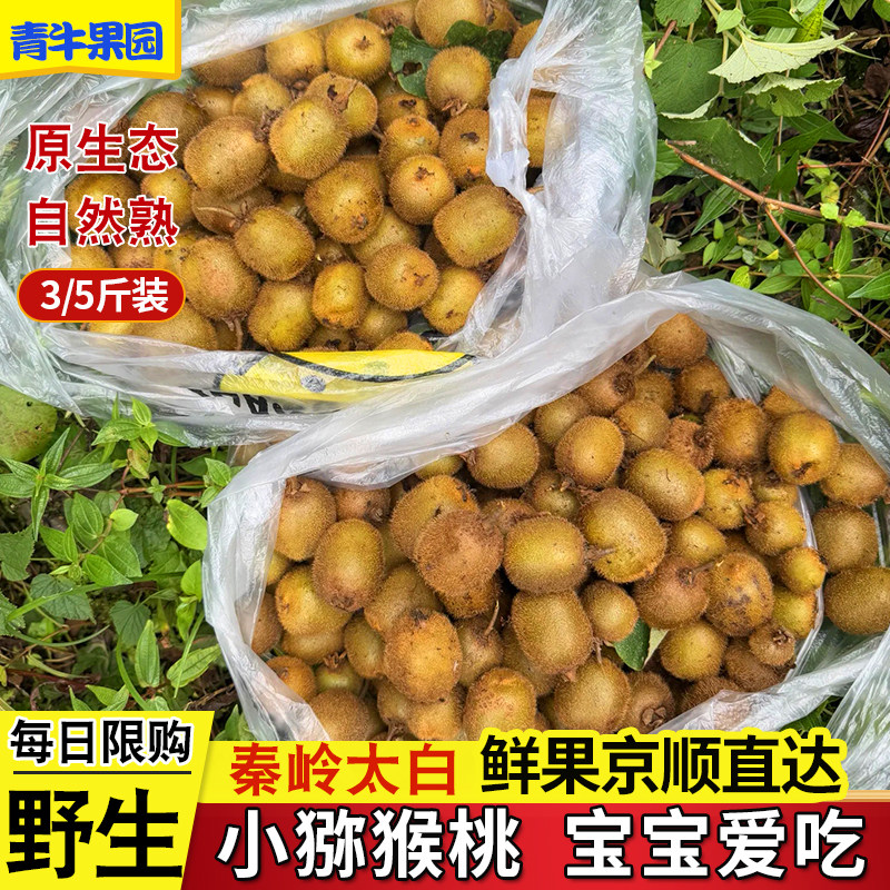 青牛果园陕西野生小猕猴桃