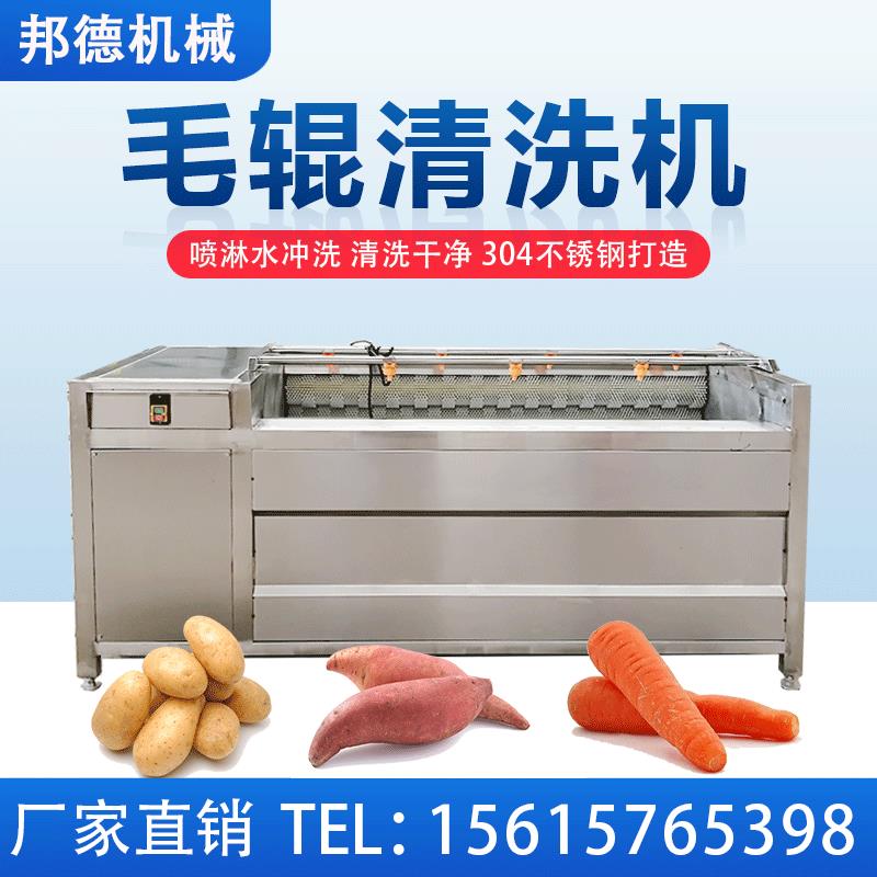 商用地瓜田螺毛辊清洗机马蹄莲藕去皮清洗机器土豆去泥设备薯类