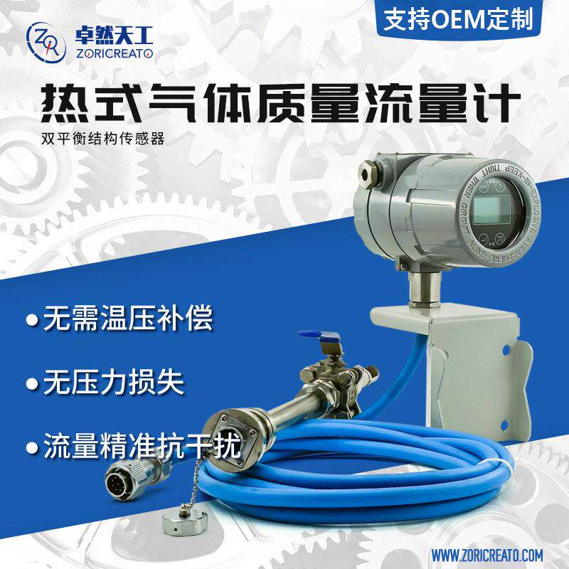 精度分体热式气体质量流量计流量指示器横河流量计同款厂家直销