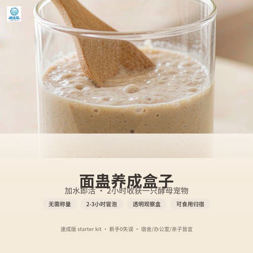 桃鱼蹊｜3小时冒泡的酵母宠物