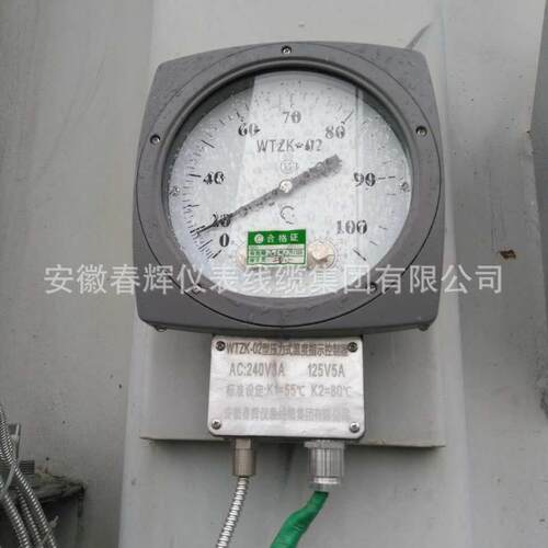 TZ-W02器WTZK-03/03型温度控制器K变压温度控制器