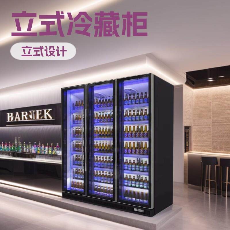 商用立式风冷冷藏展示柜双门玻璃门饮料冰柜超市保鲜柜