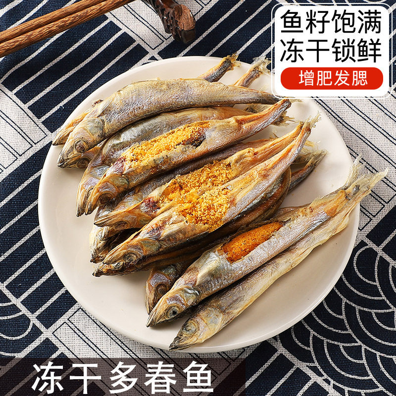 多春鱼冻干满籽狗狗猫咪零食补钙蛋白营养增肥发腮无盐小鱼干大袋