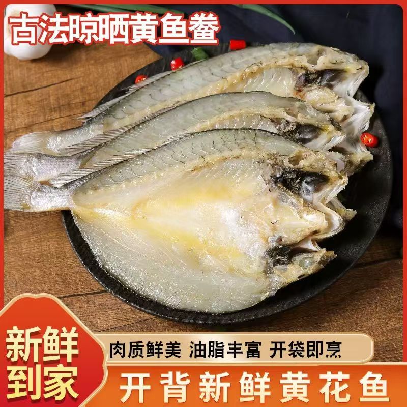 正宗温州特产东海黄鱼干新鲜晒干咸鱼黄花鱼大黄鱼海鲜干货黄鱼鲞