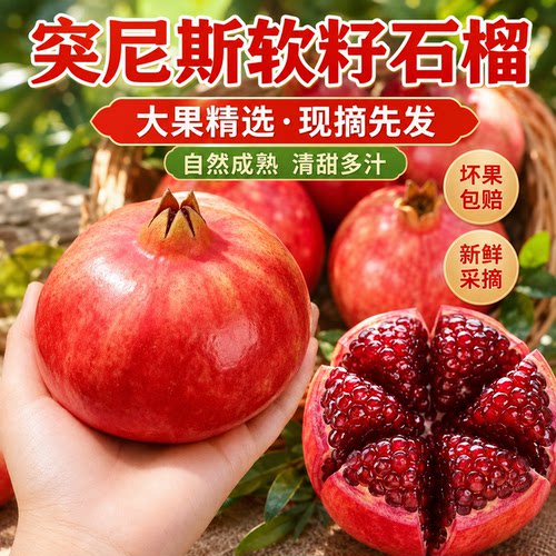 正宗四川会理突尼斯软籽石榴