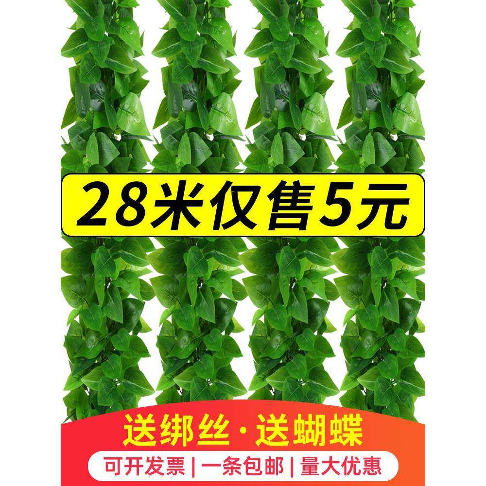 彷真藤条藤蔓植物绿色树叶下水管道悬吊式天花板装饰花藤假花塑料