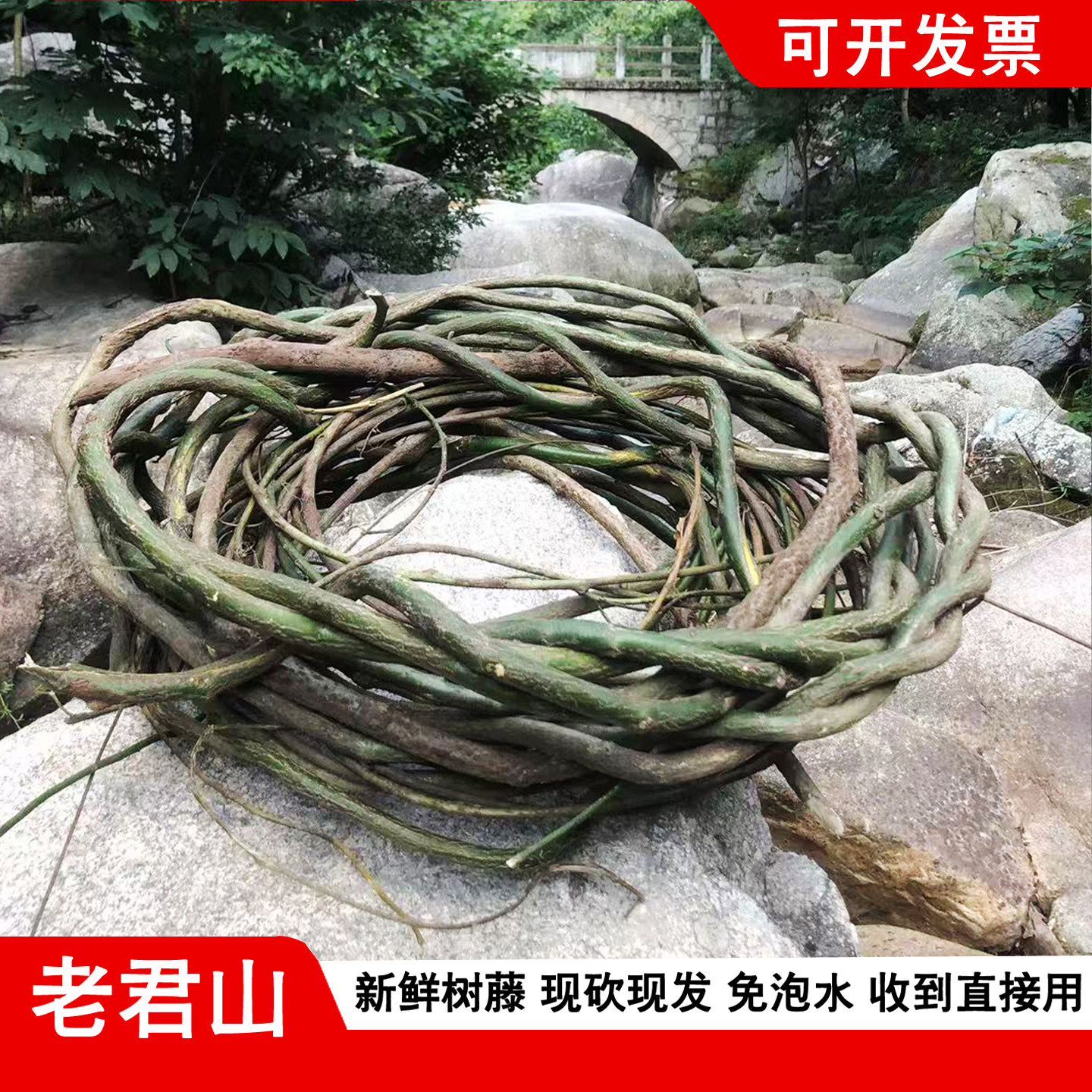 树藤藤条枯藤藤蔓婚庆民宿店铺家俱装饰树藤悬吊式天花板真藤条装