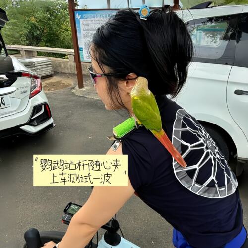 带鹦鹉出门咯！站杆随心夹便携