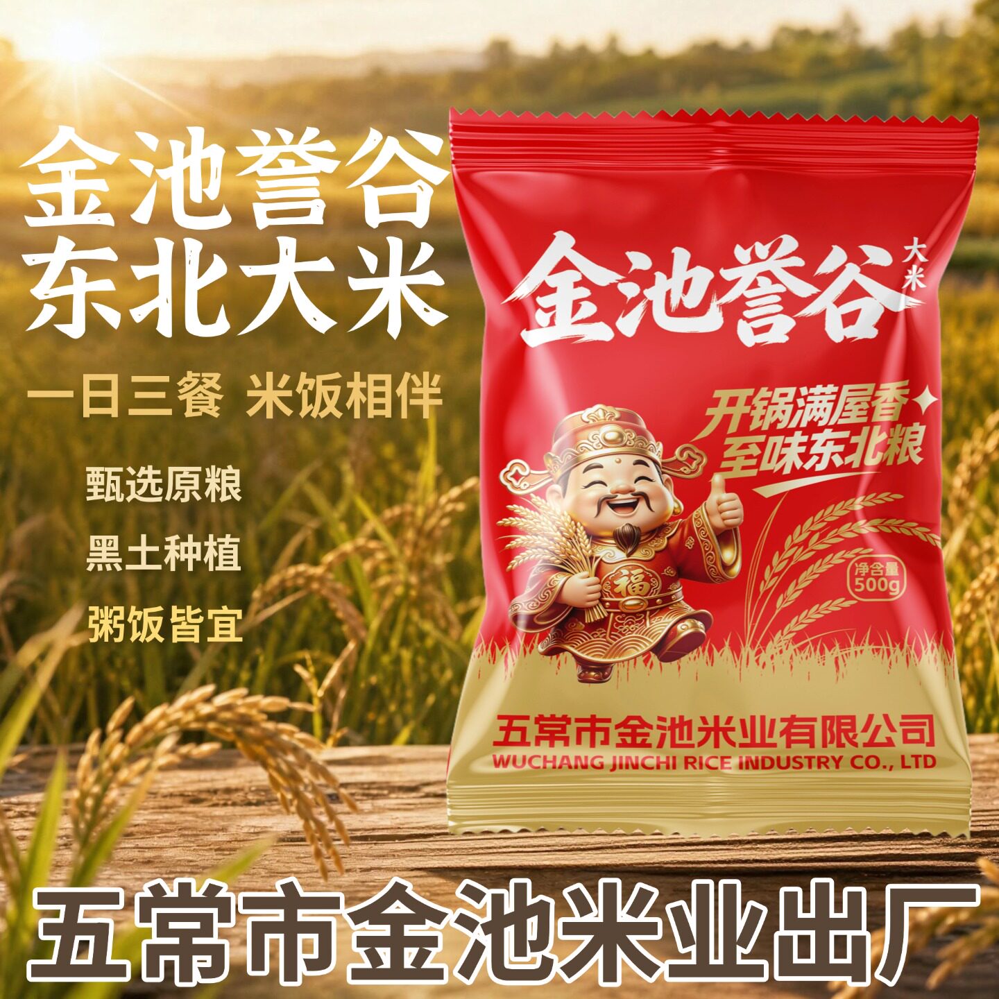 五常市金池米业出产东北大米500g*1袋装黑土种植粥饭皆宜囤货好米