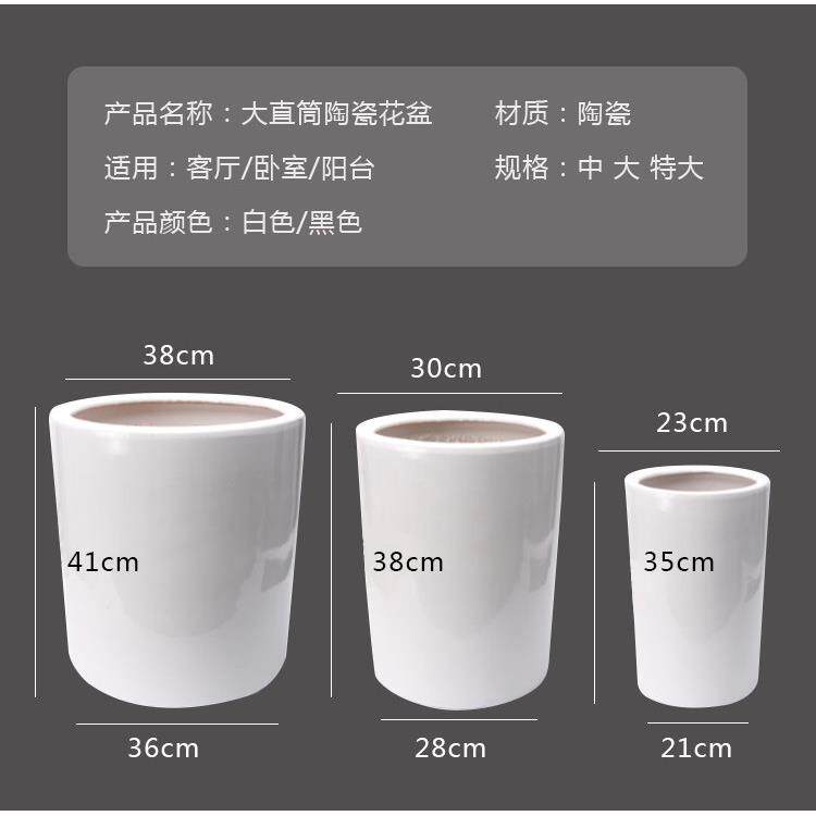 现代简约纯白直筒花盆散尾葵绿萝发财树盆栽特大号高筒陶瓷花盆