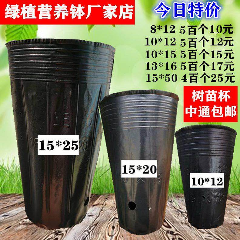 黑色塑料营养钵一次性营养杯育苗杯花卉育苗盘软花盆10*15 营养袋