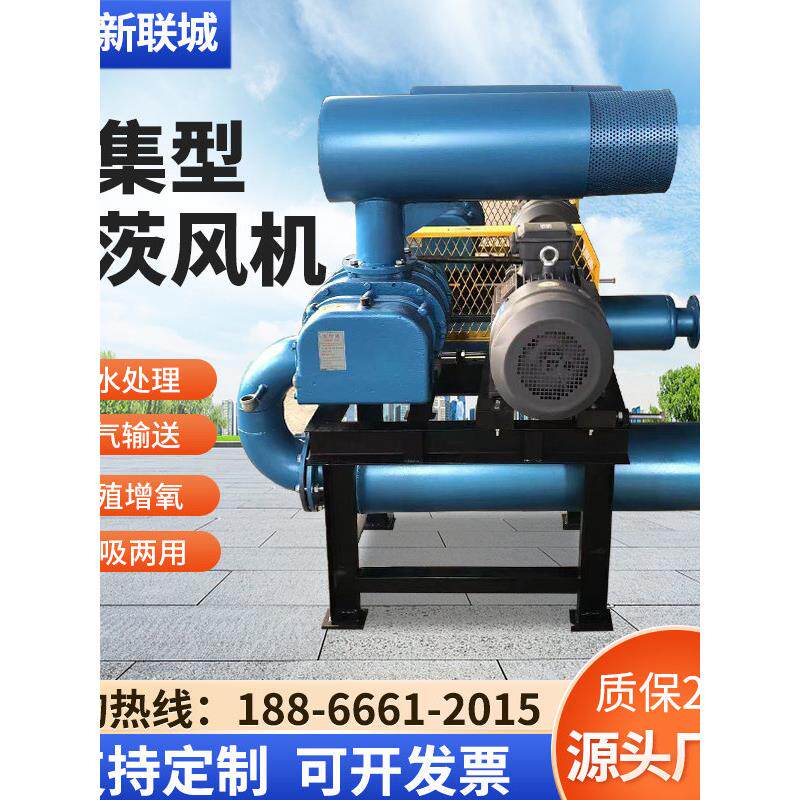 强化三叶片罗茨风机真空进料罗茨风机养殖加氧曝气设备气动输送