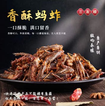 【三友顺】美味炸蚂蚱酥脆好吃零食开罐即食下酒菜速食虫子熟食