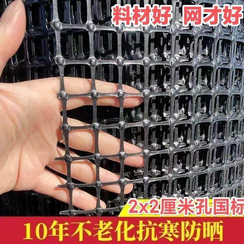 小孔塑料养殖网鸡鸭育雏脚垫漏粪网加密大棚防鸟网抗晒养鸡围栏网