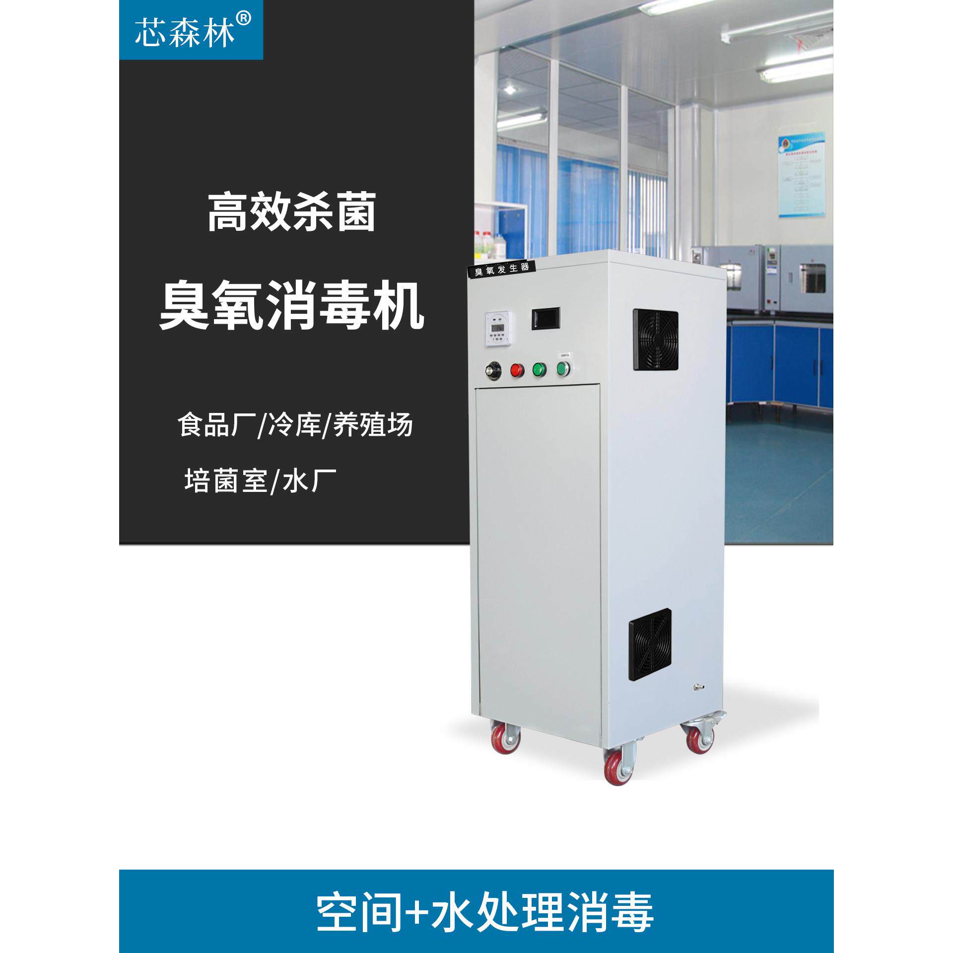 30G臭氧发生器50克臭氧消毒食品厂车间冷库消毒杀菌水处理臭氧机