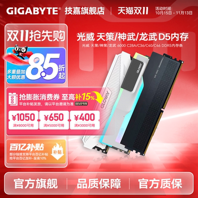 光威 D5 16Gx2 24G 32G  6000 C38 C40  DDR5 龙武 马甲 内存条