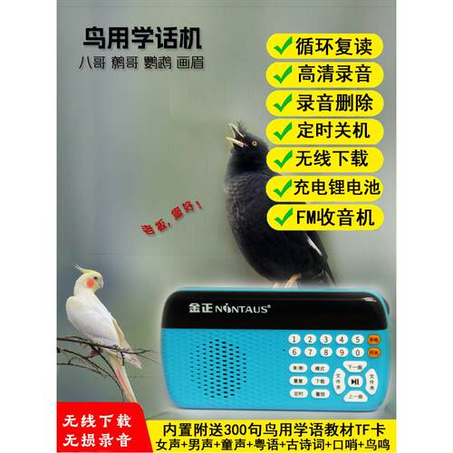 Myna神秘鸟说话训练机器鹦鹉学习说话手持小工具重覆录音机鸟尖叫