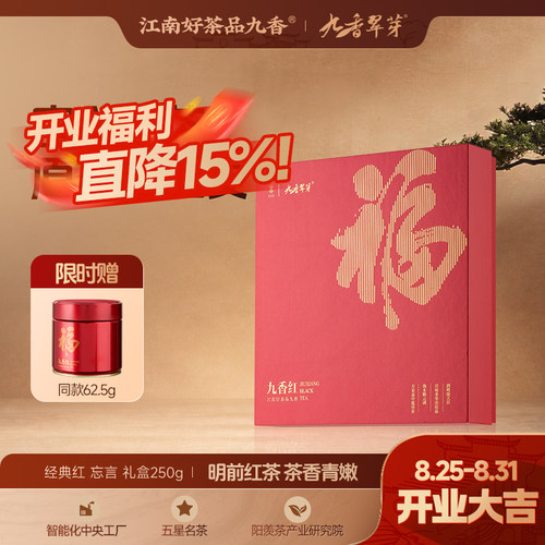 九香经典红忘言高档茶叶礼盒250g