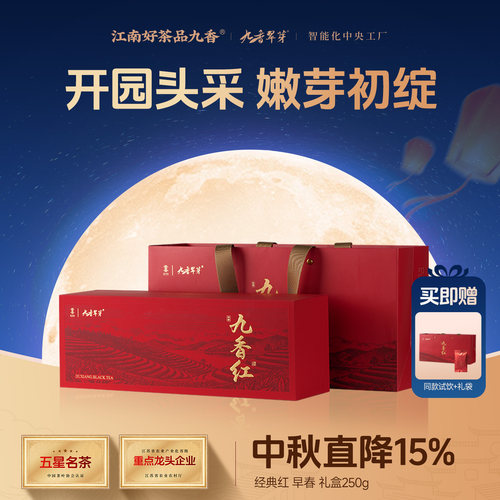 九香经典红早春高档茶叶礼盒250g