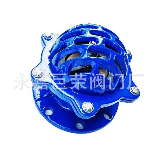 南阀门 H42X-25C 不锈钢铸钢底阀 法兰升降式污水向阀