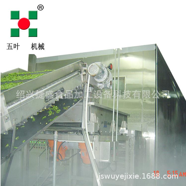 草莓秒冷冻设备 全自动水果体速冻设备 定制果蔬隧道式速冻机