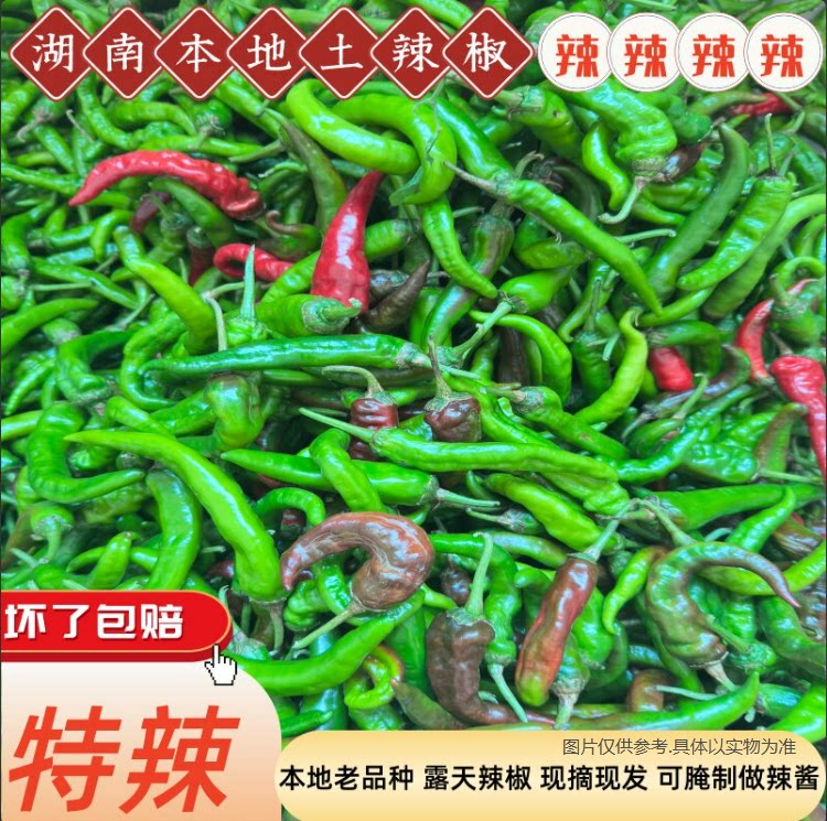 【特辣】湖南正宗老品种农家自种露天辣椒新鲜现摘薄皮香辣土辣椒