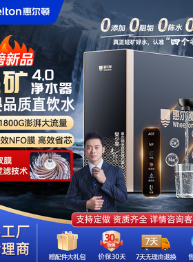 惠尔顿家用净饮机净水机双水直饮1800G反渗透厨下式净水器