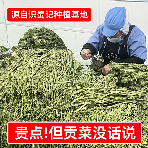 识蜀记精选云南大理贡菜干商用一箱8斤贡菜火锅曹氏鸭脖辣卤凉菜