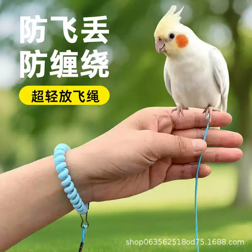 鹦鹉手腕式超轻防缠绕放飞绳