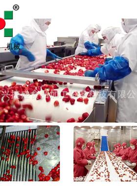 青梅速冻加工生产线 速冻水果设备 食品果蔬加工机器厂家直销