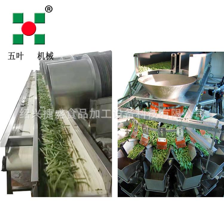 定制豌豆粒甜玉米粒速冻机 板栗毛豆清洗速冻流水线 果蔬速冻线
