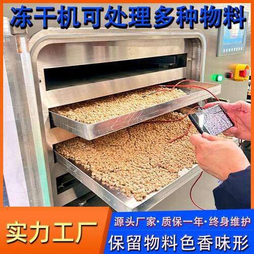 源头厂家冻干机 商用大型脱水真空冷冻干燥机 水果蔬菜冻干流水线