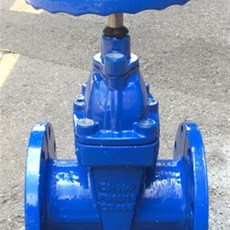 上海阀门RVHX-Z45X-160法兰暗杆弹性软密封闸阀DN75 110 160 315