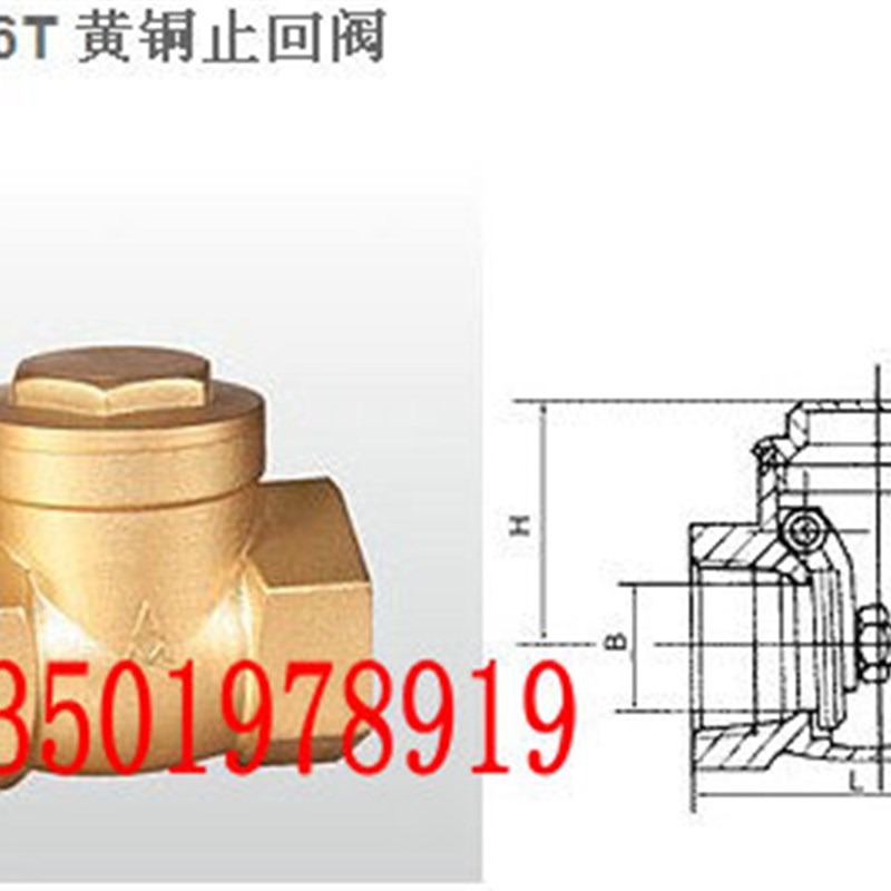 埃美柯 H14X/H14W全铜黄铜丝扣丝口止回阀 单向阀,逆止阀 DN50