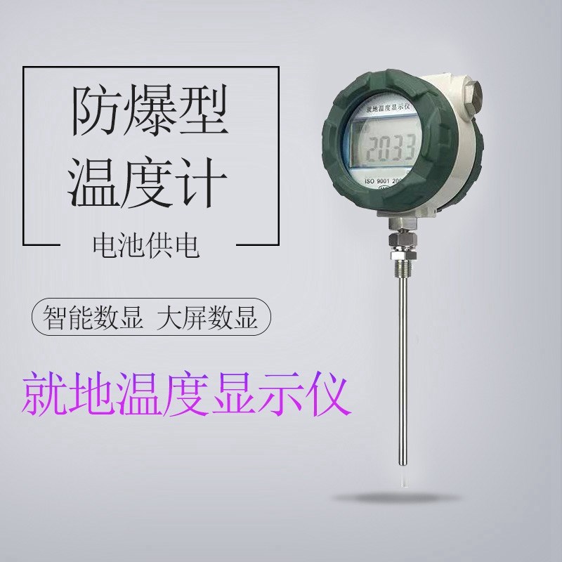 防爆型就地数显温度仪高精度温度表大屏数字温度计反应釜测温