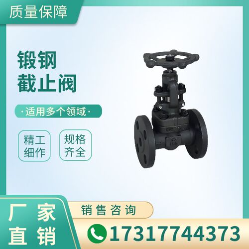 上海阀门锻钢停止阀闸阀J/Z41H-16/25C耐高温耐高压