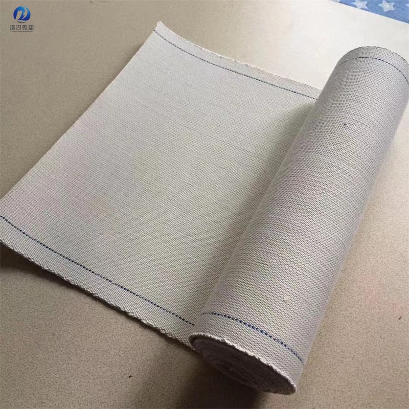 耐高温200 纯棉帆布输送带 无缝环形 食品输送带 就找 厂家定制