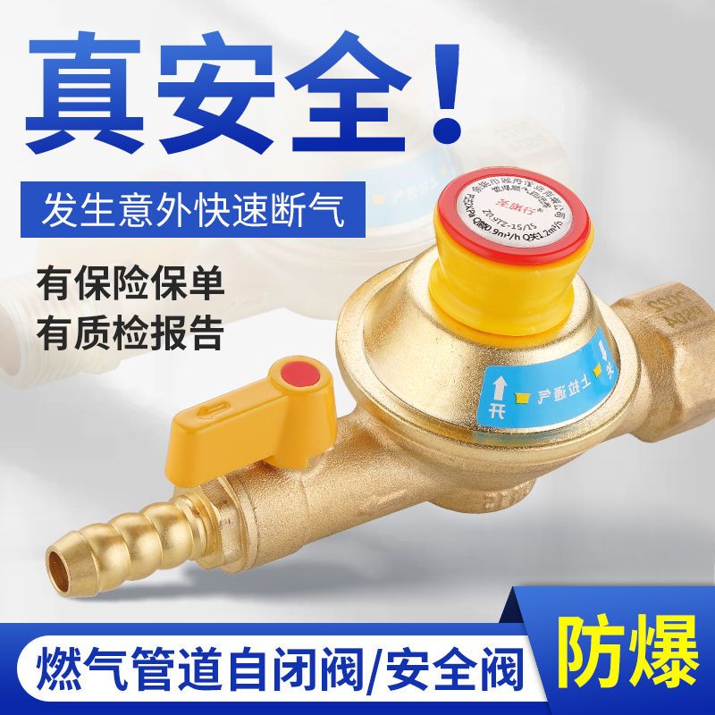 管道天然气专用自闭阀纯铜家用防漏气超压欠压自动断气安全保护阀