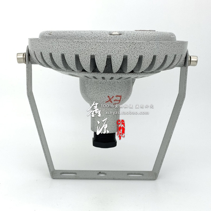 防爆LED灯 BCD1601仓库投光灯照明IIC隔爆防水防尘IP66车间工厂灯