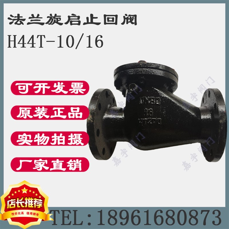 H44T-16铸铁法兰旋启止回阀 卧式排污单向阀大口径 DN40 50 65 80