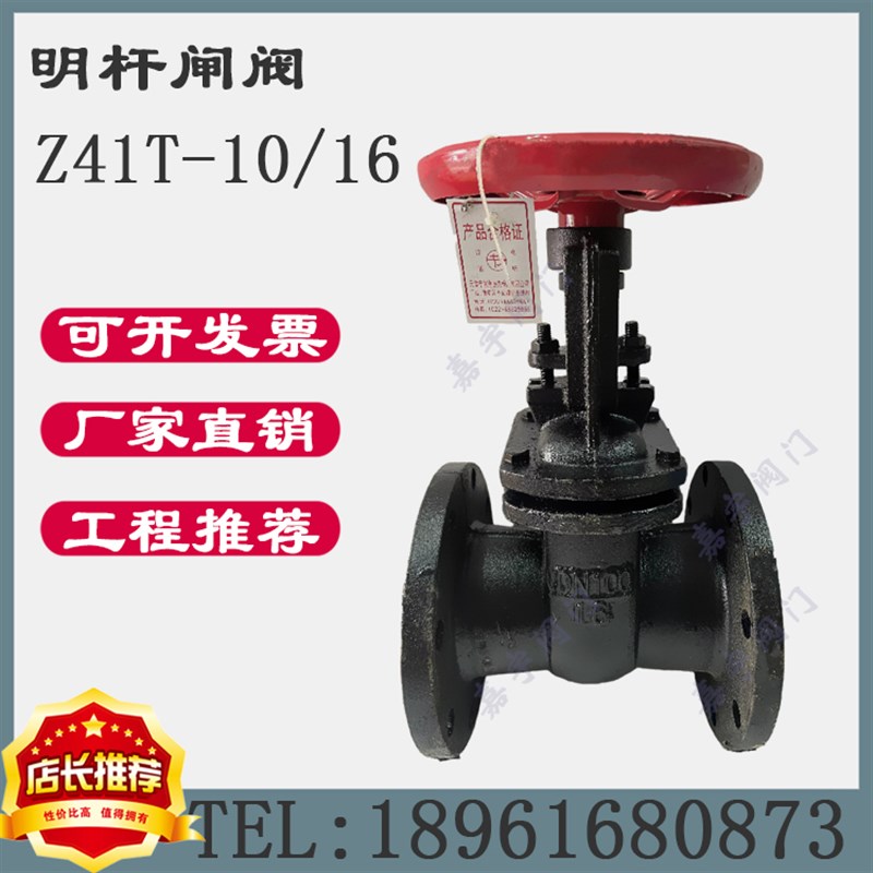 Z41T-10/16铸铁明杆闸阀铜芯法兰闸阀水闸阀开关 40 50 65 80 100