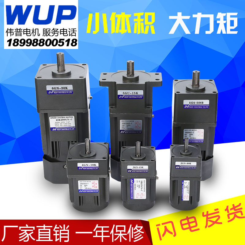 伟普直销微型交流减速定速电机220v380v定速减速齿轮马达6-400w