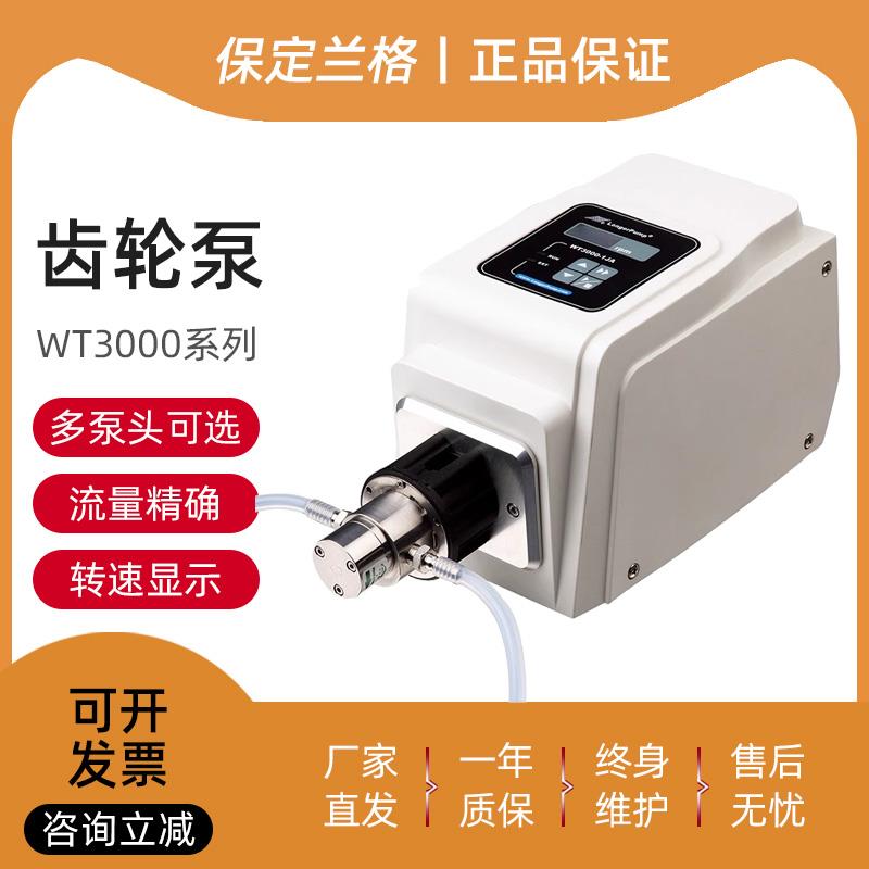 保定兰格WT3000-1JB/WT3000-1JA/微型齿轮泵无脉动可高压传输液体