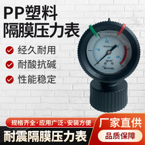 PP隔膜压力表 LUDl耐酸碱 防腐1.0MPA厂家直销