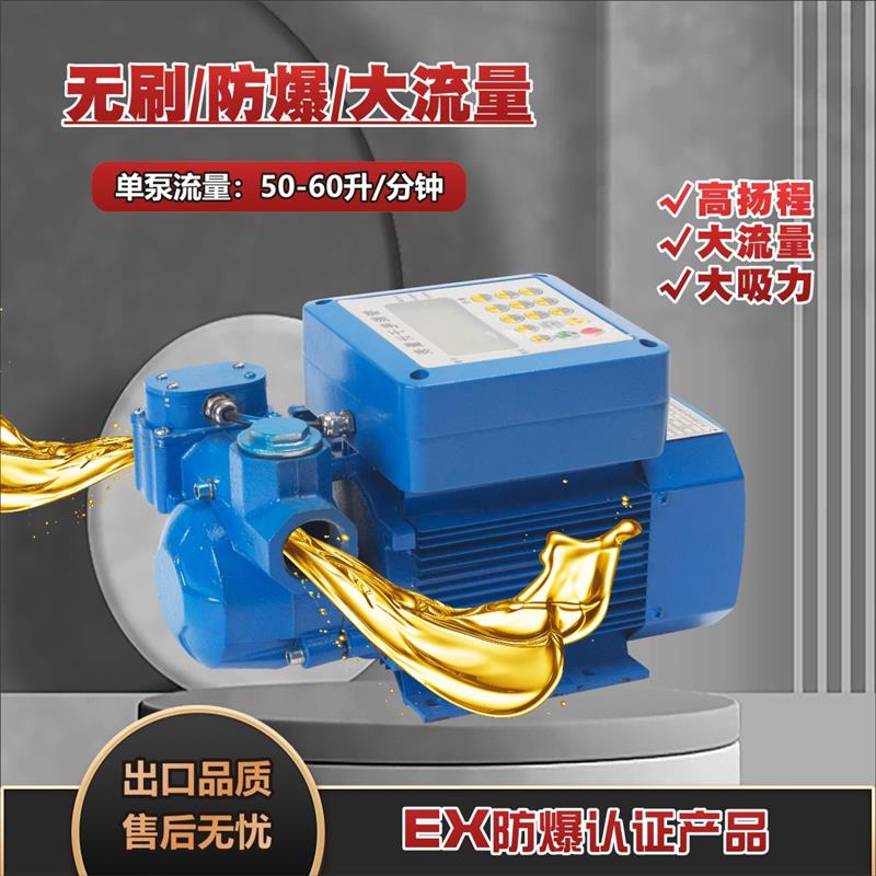 防爆电动抽油泵12V24V220V大流量自吸泵齿轮泵柴油启停加油机