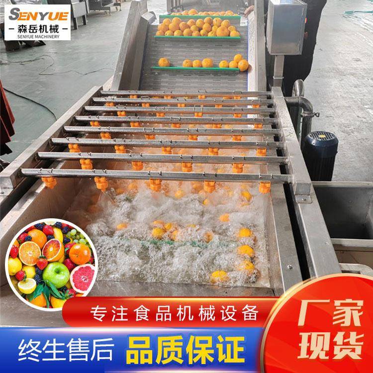 车厘子气泡清式洗机草杏子鼓泡洗果机水莓果加工厂洗果机设备厂家