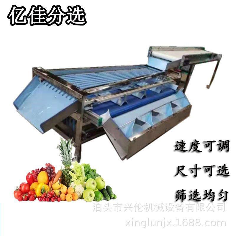 不果荔枝分级机田伤螺筛选机果蔬分机选皮带苹果分选机器