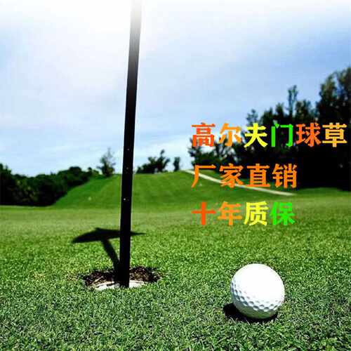 高尔夫果岭草门球场人造草坪假草坪社区幼儿园仿真草坪楼顶曲丝草