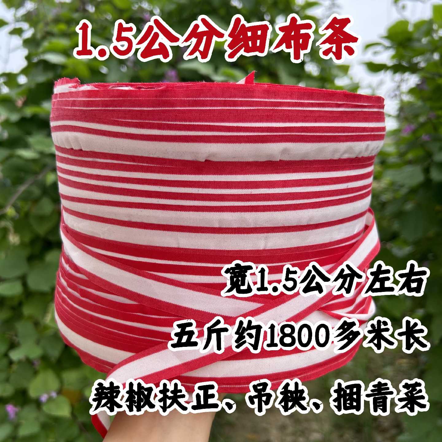 布条绳无毛边无胶1.5cm布条果树拉枝捆绑吊秧包土球捆玉米杆布条