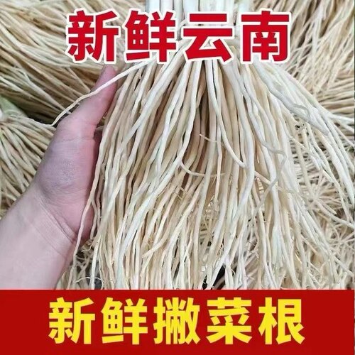 云南佤味鸡脚牛皮菜根现挖脆